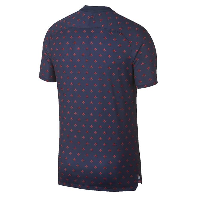 Camisa De Treino Nike Psg Dri Fit Masculina