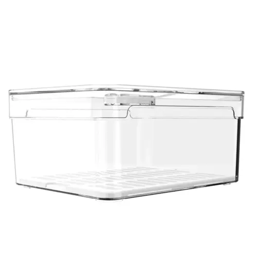 Ou Organizador Clear Fresh 2,2l Natural