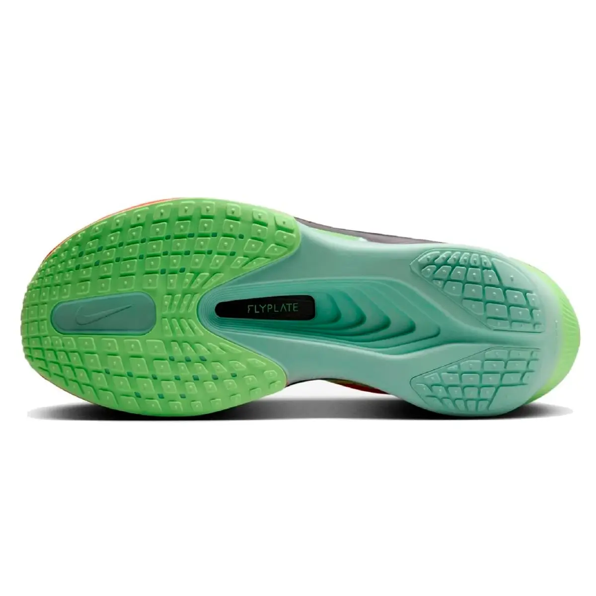 ニコライ Nike Tenis M Zoom Fly 6 FN8454 (601) TAM 40