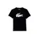 Lacoste T-Shirt Masculino (258)