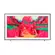 Samsung Tv The Frame Pro 75 Qled Smart 4k 144hz 2025