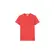 Lacoste T-Shirt Masculino Pima (ZV9)