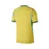 Nike Camisa Masculino Manga Curta CBF I Jogador 2026/2027 Amarelo IB5143 (724)