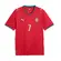 Puma Camisa M Portugal Fpf Home Jersey Replica Player Club Red-Green Lagoon