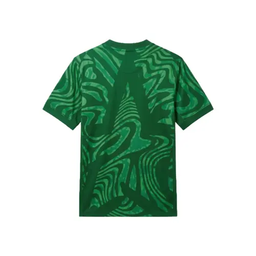 Nike Camisa Infantil Manga Curta CBF II Goleiro Torcedor 2026/2027 Verde IB5091 (302)