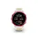 Garmin Smartwatch com GPS Forerunner 570 Framboesa