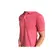 Lacoste Polo Masc (2401) (ZV9)
