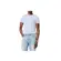 Lacoste T-Shirt Masc Pima (2401) (J2G)
