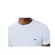 Lacoste T-Shirt Masc Pima (2401) (J2G)