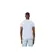 Lacoste T-Shirt Masc Pima (2401) (J2G)