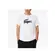 Lacoste Camiseta Masc Sport Ultra Dry Emblema (2501) (AU8)