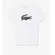 Lacoste Camiseta Masc Sport Ultra Dry Emblema (2501) (AU8)