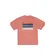 Lacoste T-Shirt Masc (2401) (LXG)