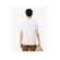 Lacoste T-Shirt Masc Pima (2102) (001)