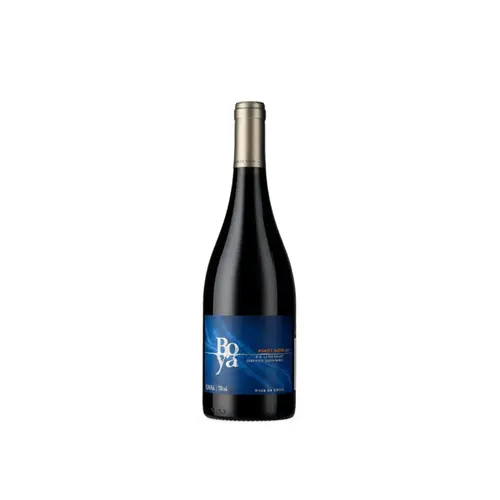 Garces Silva Vinho Boya Pinot Noir Tinto 750ml Chile 2023