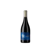 Garces Silva Vinho Boya Pinot Noir Tinto 750ml Chile 2023