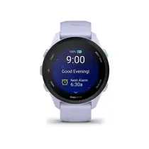 Garmin Smartwatch com GPS Forerunner 70 Lavanda 010-04307-03