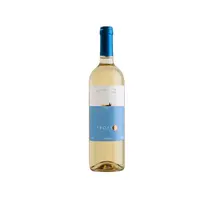 Viña Del Triunfo Vinho Trofeo Sauvignon Blanc 750ml Chile 2024