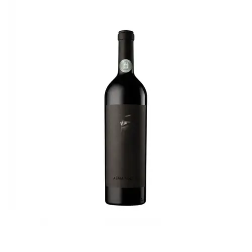 Ernesto Catena Vinho Alma Negra Pinot Noir 750ml Argentina 2023