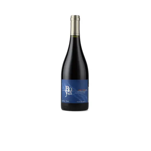 Garces Silva Vinho Boya Pinot Noir Tinto 750ml Chile 2021
