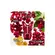 Carolina Herrera La Bomba Intensa EDP 50ML