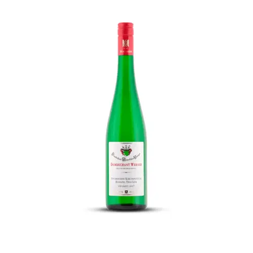 Domdechant Werner Vinho Hochheimer Riesling Trocken Branco 750ml Alemanha 2023