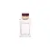 Dolce Gabanna Pour Femme Edp 100ML