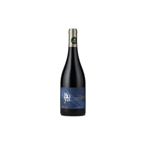Garces Silva Family Vineyards Vinho Boya Cabernet Franc Tinto 750ml Chile 2021
