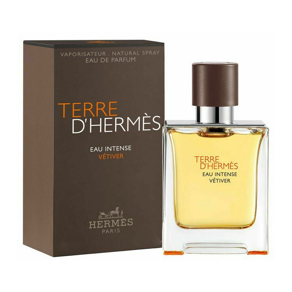 Perfume Hermès Terre D'Hermès Vetiver Eau de Parfum Masculino